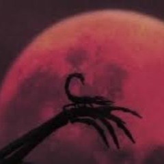 0001 INTRO XPARANOYA