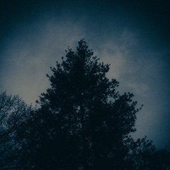 MORGEN (R. Strauss - Guitar Cover)