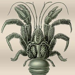 coco crab please don't hurt me.mp3