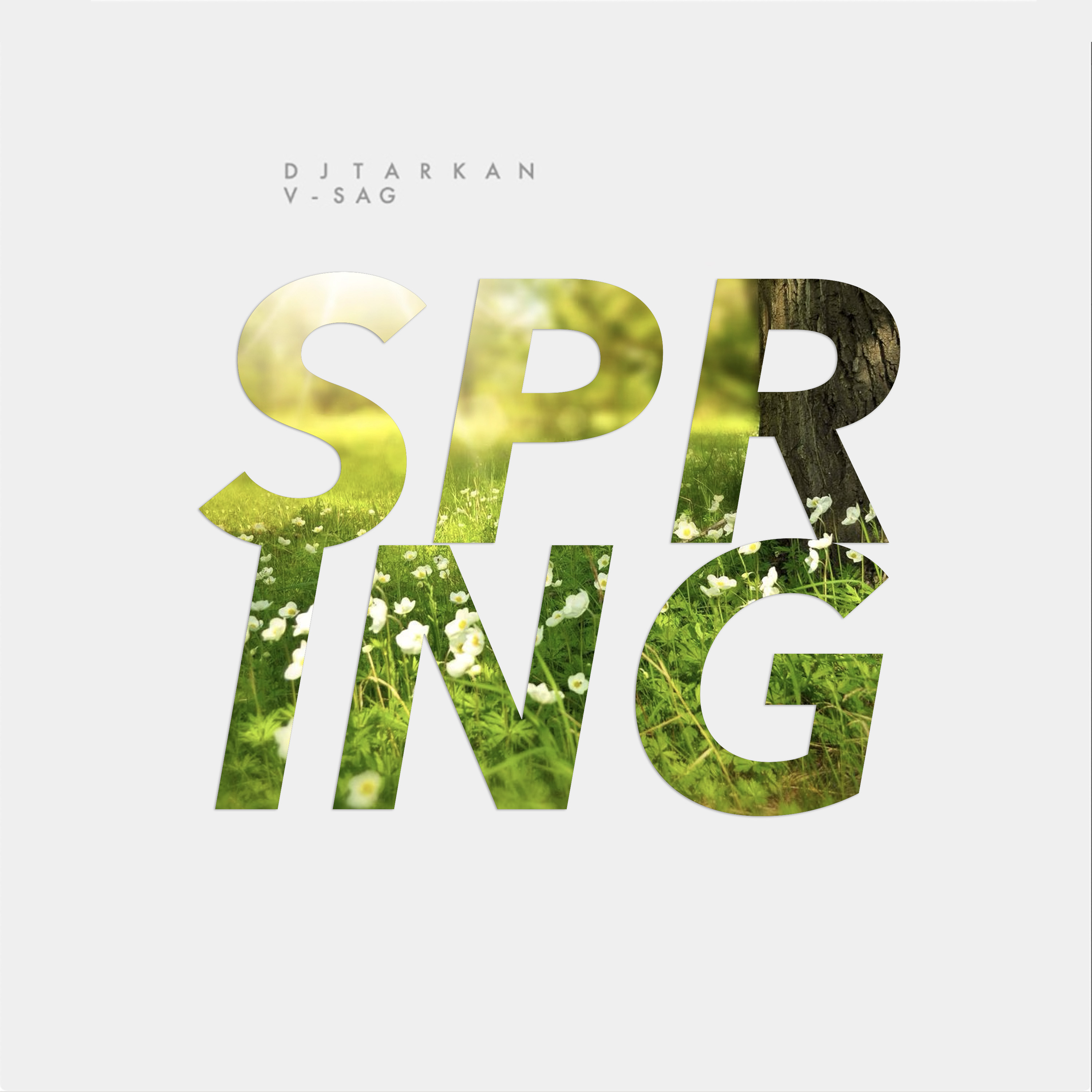 DJ Tarkan & V-Sag - Spring (Original Mix)