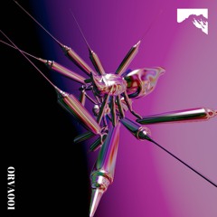 Ebass - Logical Truth