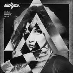 Kate Bush - Running Up That Hill (Flann Flip)