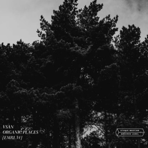 VSAN - Irregular State