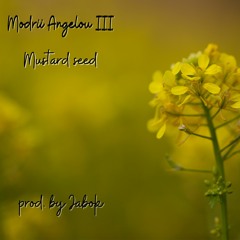 Mustard seed (rough)