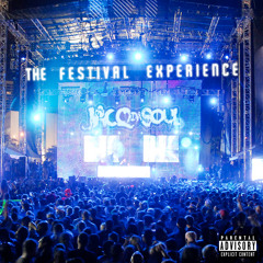 The Festival Experience Vol. 3