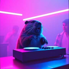 Biber Beat
