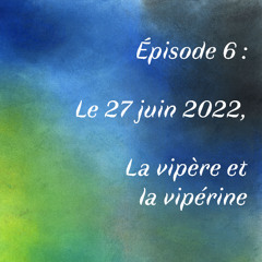 Episode 6 : Le 27 juin 2022, La vipère et la vipérine