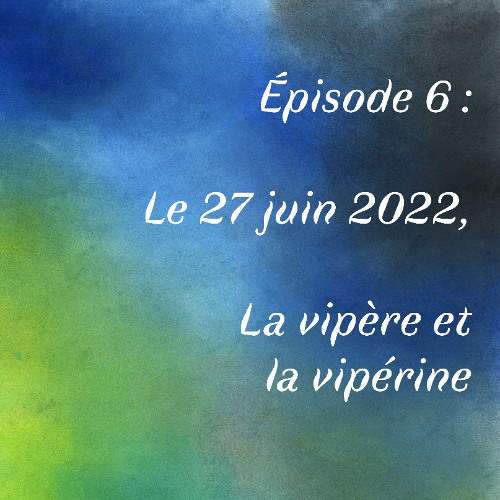 Episode 6 : Le 27 juin 2022, La vipère et la vipérine