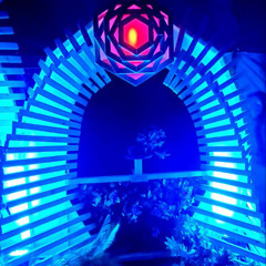 Fugue State Chillset at Camakavum 2025 - Elysium Stage