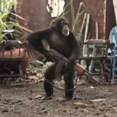 Grupo Triple l - Brazos de Morfeo (Unreleased)