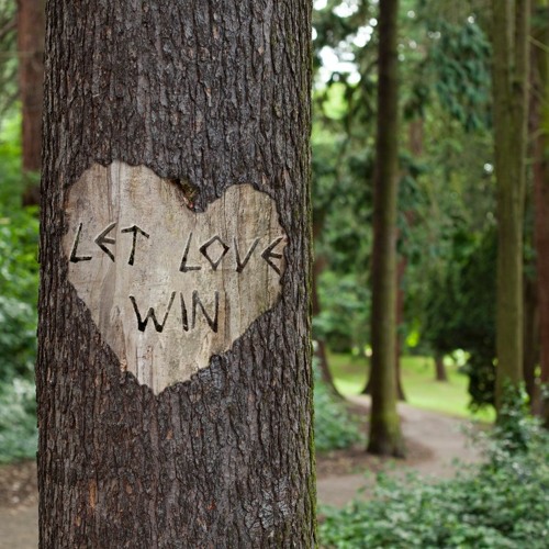 Stop "let Love Win"