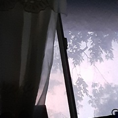 JTS-whale watching freestyle