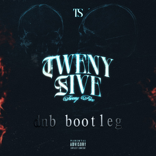 TS - TWENY FIVE  dnb bootleg