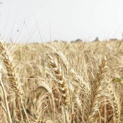 Fade Away (Feat. Anna Annelie) [jai Drumkit Promo]