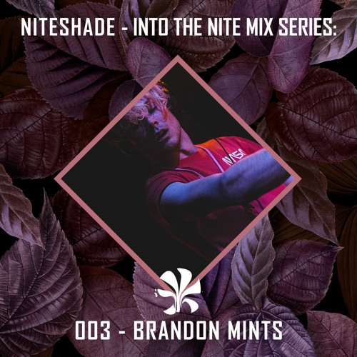 INTO THE NITE: 003 - BRANDON MINTS