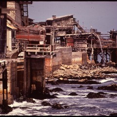 Cannery Row - Nick Biagini