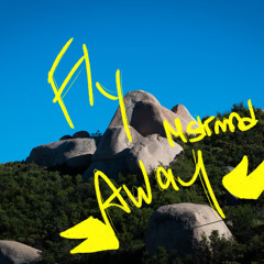 Fly Away