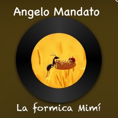 La formica  Mimí