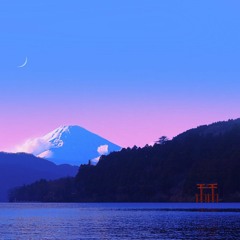 S P A C E T R I P