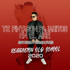 Andy Rivera ft Yandar & Yostin - Te Pintaron Pajaritos (Guille Silvers Reggaeton Old School 2020)