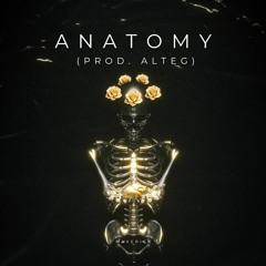 Anatomy (Prod. Alteg)