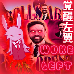 覚醒左翼WOKE LEFT