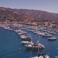 Pewter City (1987)