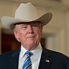 TRUMP 2024