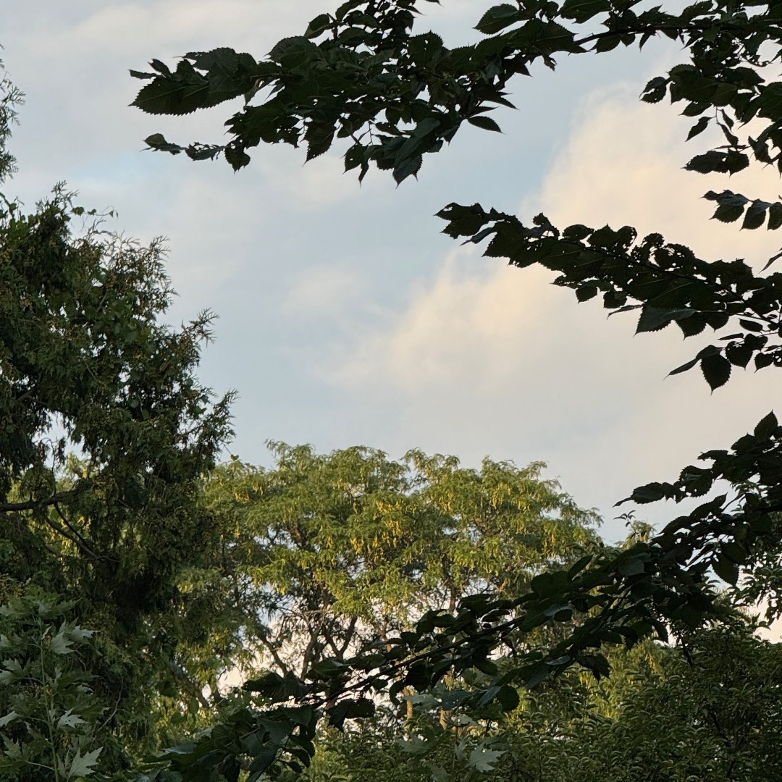 Forecast from Wednesday 8-26-26