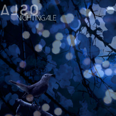 Nightingale