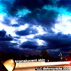 translucent skin prod llc
