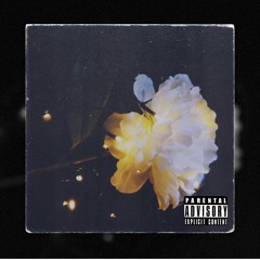 721 $quad x DJ Wazz - SIE SAGT (prod. by DJ Wazz)