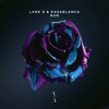 Download Video: Lane 8 & Kasablanca - Run (Extended Mix)