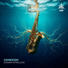 Rosario Intrallazzi - Conexion