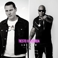 Tiesto x Flo Rida - Lay Low [LLP Remix]