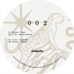 PREMIERE: T.C.M. - Groove Hypnosis [Angatu]