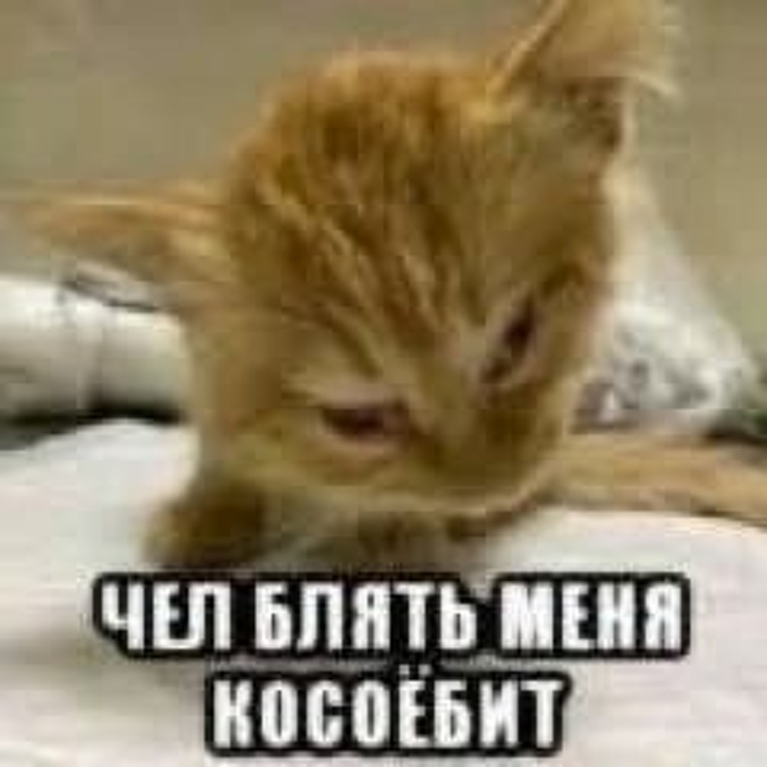 Блять және пид Блять және пид