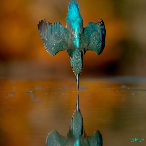 Gramrcy & John Loveless - Highdive (Schacke Remix)