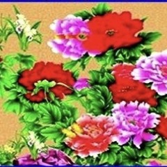 limerance (prod. morecalcium)