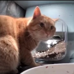 Veeze small fry (instrumental+sped up)