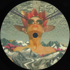 Adam Collins - MSR 002 (MSR002)