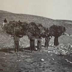 Ice Exposure w/ Luis Martin Gonzalez & Elijah Minnelli