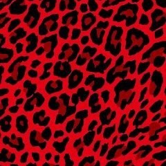 TODVY'S NEVER COME VGVIN (idontworry)