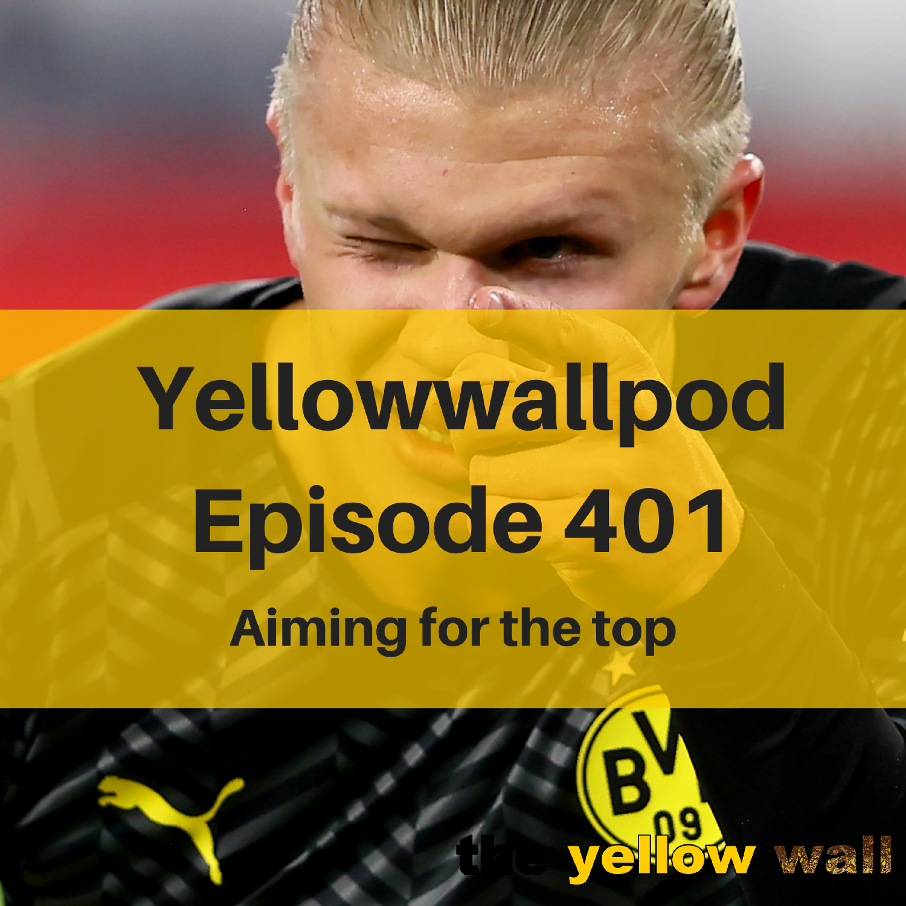 Yellowwallpod