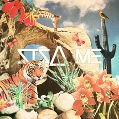 Little Tiger ft. Avia Shoshani