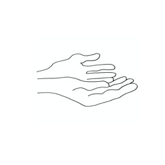 New Palm 11: agraybé