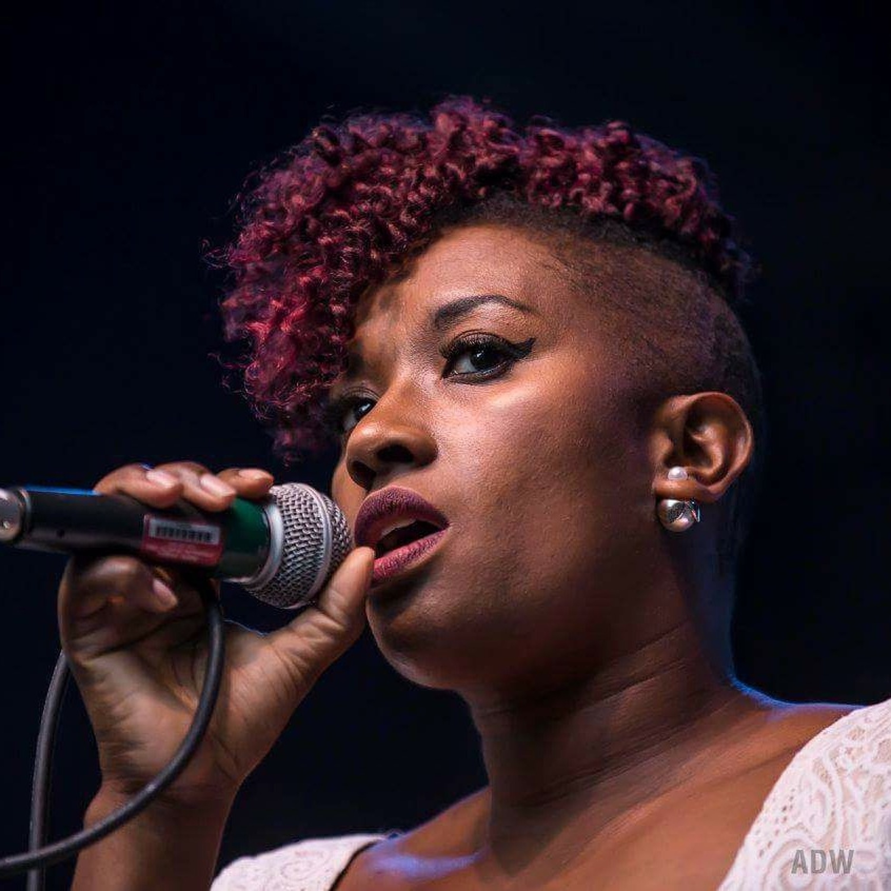 Rochester Groovecast Presents