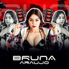 RAIVA DO EX - BRUNA ARAUJO, MC THEUZYN E MC GW