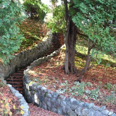 Dharmakaya