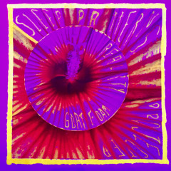 Sleep Patterns, Projected Reality Full Album